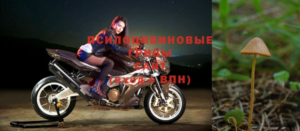 ALPHA PVP Ладушкин